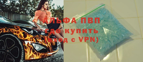 сатива Липки