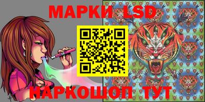 прущие крисы Абинск
